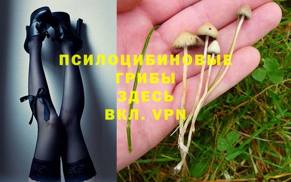 альфа пвп Медвежьегорск