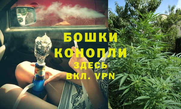 альфа пвп Медвежьегорск