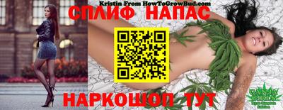 спиды Волжский