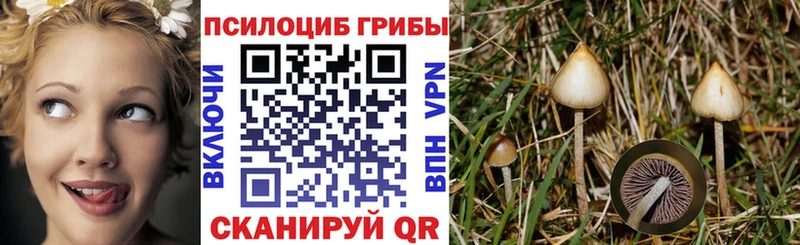 Галлюциногенные грибы Cubensis  что такое   Добрянка 