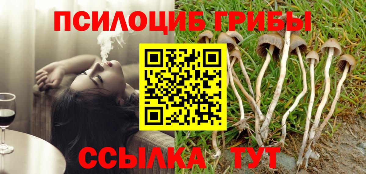 Псилоцибиновые грибы ЛСД  Добрянка  Галлюциногенные грибы Magic Shrooms 
